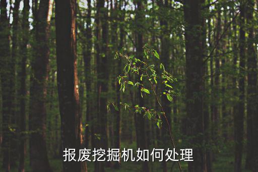 挖机废旧市场,北京这边没有大型二手挖掘机市场...