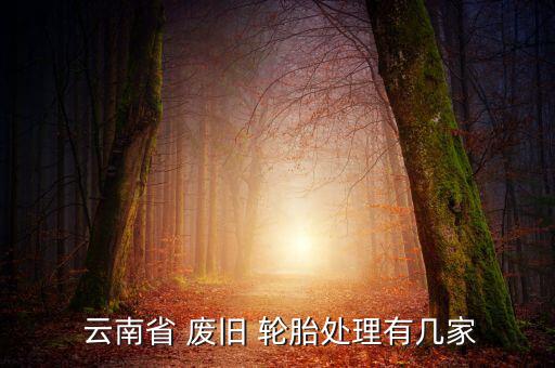  云南省 废旧 轮胎处理有几家