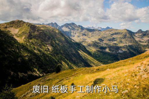 废旧纸板交易网,自保废旧材料搬运收入入账户纸板小马完蛋了