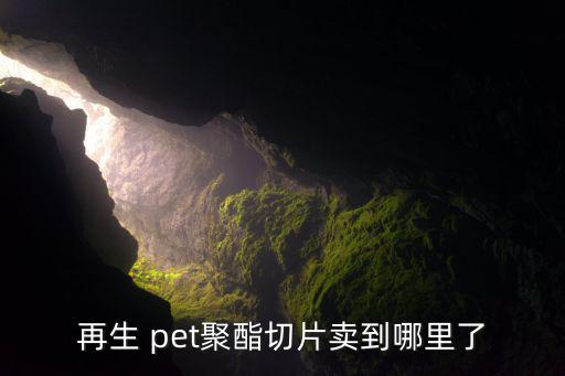 再生 pet聚酯切片卖到哪里了