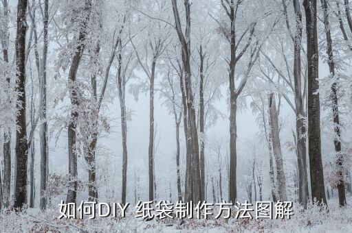 如何DIY 纸袋制作方法图解