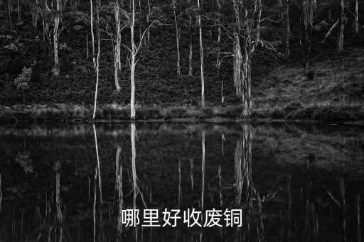 哪里好收废铜