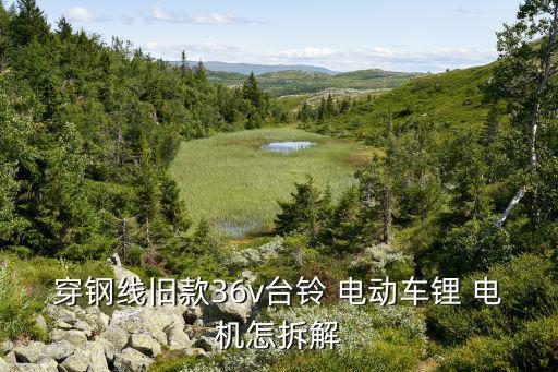 河北废旧电动车电机,旧36v电动车拆机拆装步骤分三步