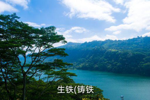  生铁(铸铁