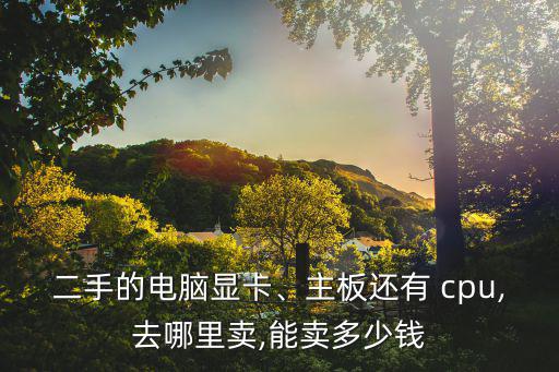 二手的电脑显卡、主板还有 cpu,去哪里卖,能卖多少钱