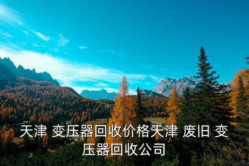 天津 变压器回收价格天津 废旧 变压器回收公司