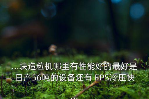 ...块造粒机哪里有性能好的最好是日产56吨的设备还有 EPS冷压快...