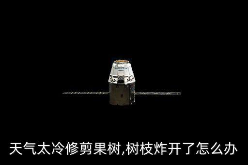 天气太冷修剪果树,树枝炸开了怎么办