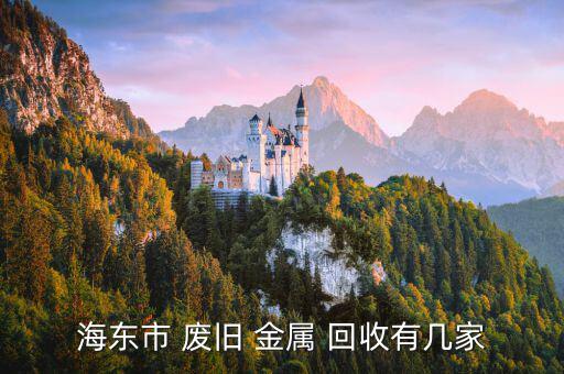 海东市 废旧 金属 回收有几家