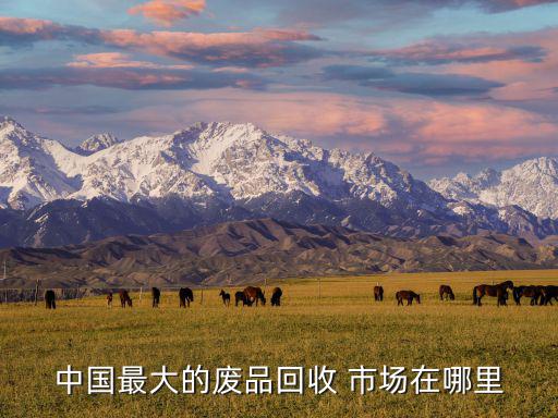 中国最大的废品回收 市场在哪里