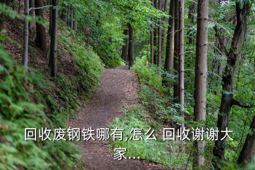  回收废钢铁哪有,怎么 回收谢谢大家...