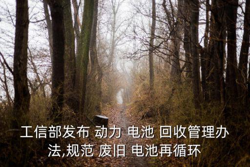废旧动力电池回收电话,非正规回收企业以旧换新将旧电池再生