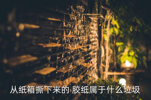 深圳废旧胶纸回收