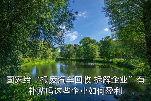 国家给“报废汽车回收 拆解企业”有补贴吗这些企业如何盈利