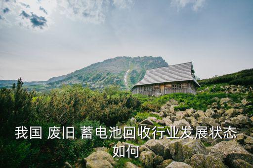 我国 废旧 蓄电池回收行业发展状态如何