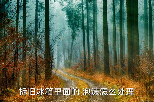 拆旧冰箱里面的 泡沫怎么处理