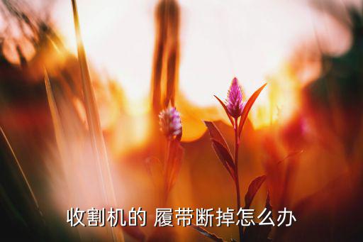 回收废旧履带,如何取下退回履带板和换上新布带板?