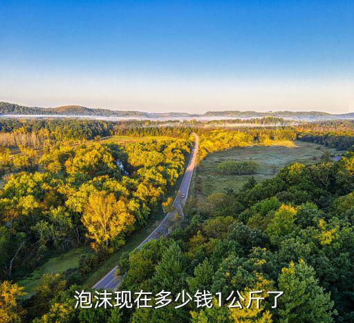  泡沫化坨卖给什么厂