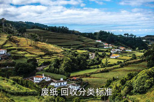 废旧报纸 废书回收