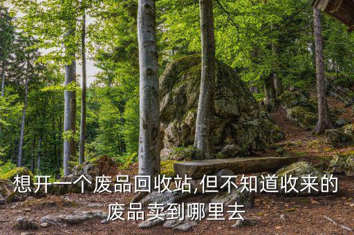 想开一个废品回收站,但不知道收来的废品卖到哪里去