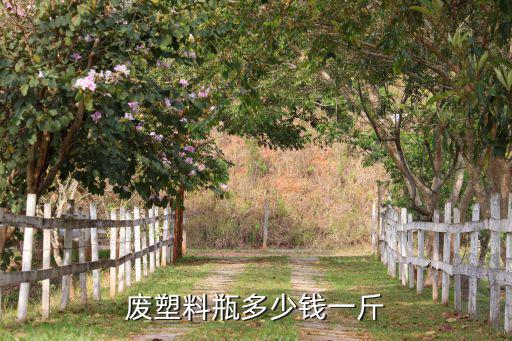 废塑料瓶多少钱一斤