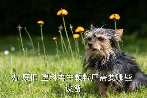 废旧塑料分拣设备,建立再生塑料颗粒厂投资规模没问题!