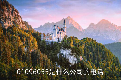 01096055是什么公司的电话