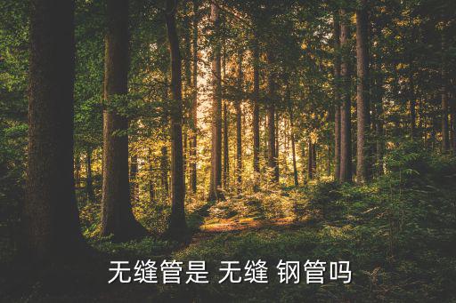 废旧无缝钢管是统废吗,非标无缝钢管按化学转化不同材质可分类