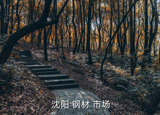 沈阳废旧钢材市场钢板,金文泰和北塔钢材市场等地铁线经过本地
