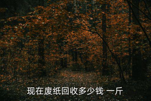 废旧纸多少钱一斤