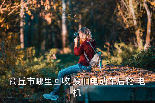 商丘市哪里回收 废旧电动车后轮 电机