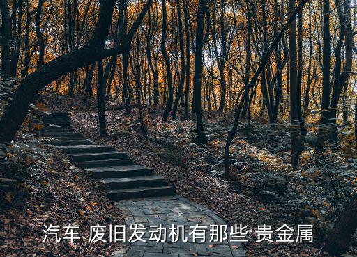 汽车 废旧发动机有那些 贵金属