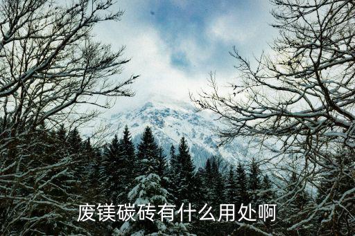 洛阳求购废旧镁洛砖信息,二生铝镁碳砖经济效益低但实用性不强