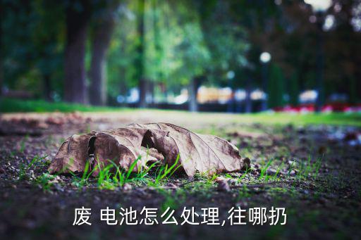 废 电池怎么处理,往哪扔