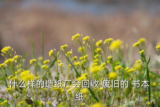 什么样的造纸厂会回收 废旧的 书本纸