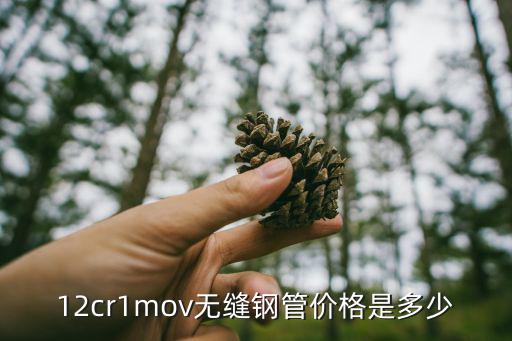 废旧耐热钢价格,中高档车的排气管是什么材质?