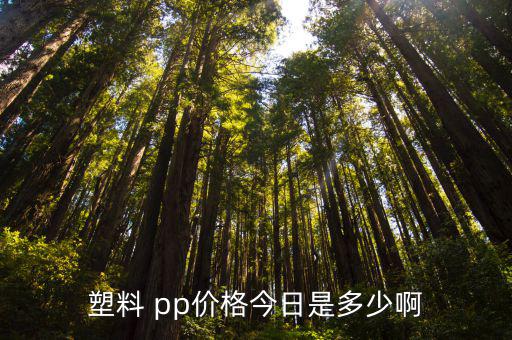废旧pp的价格行情,今日预测:预计今日行情行情稳小