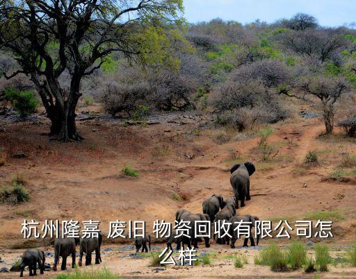杭州隆嘉 废旧 物资回收有限公司怎么样