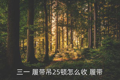 三一 履带吊25顿怎么收 履带