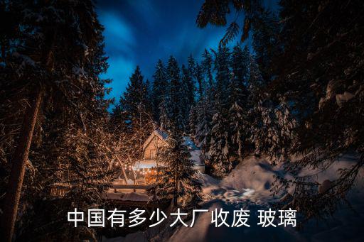 中国有多少大厂收废 玻璃