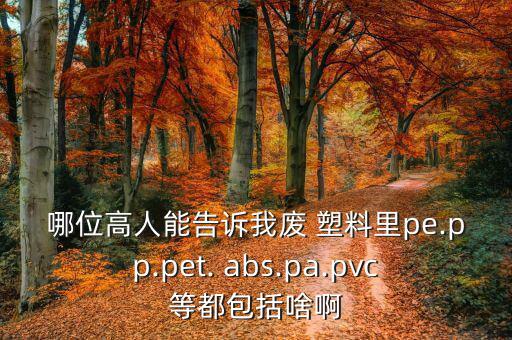 哪位高人能告诉我废 塑料里pe.pp.pet. abs.pa.pvc等都包括啥啊