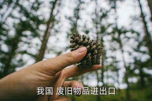 我国 废旧物品进出口