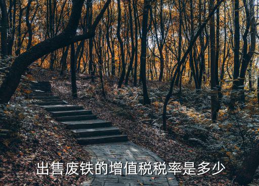  出售废铁的增值税税率是多少