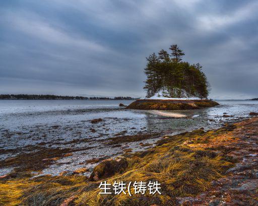  生铁(铸铁