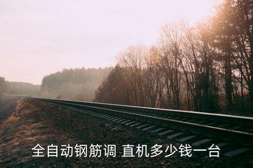 全自动钢筋调 直机多少钱一台