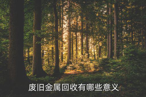 废旧有色金属拍卖,废金属回收利用率和价值促进可持续发展