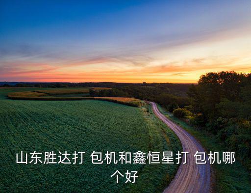 山东胜达打 包机和鑫恒星打 包机哪个好