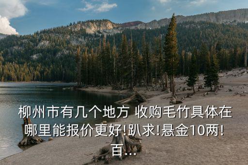  柳州市有几个地方 收购毛竹具体在哪里能报价更好!趴求!悬金10两!百...