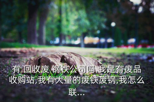 有 回收废 钢铁公司吗,我是有废品收购站,我有大量的废铁废钢,我怎么联...