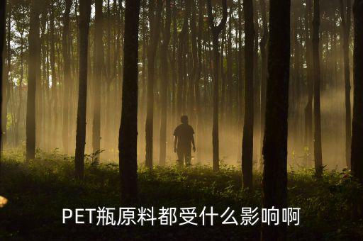 PET瓶原料都受什么影响啊